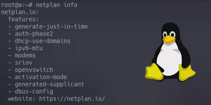 Featured image of post setting up tunnelbroker (netplan)